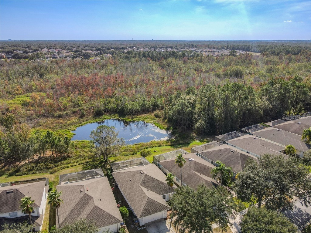 2944 Sunset Vista Boulevard Kissimmee FL 34747 O6365777 image41