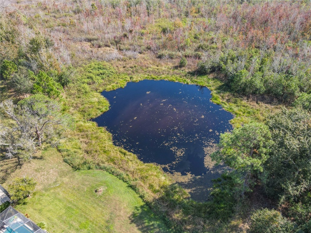 2944 Sunset Vista Boulevard Kissimmee FL 34747 O6365777 image45