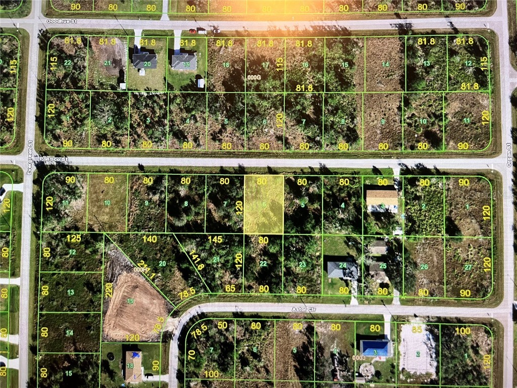 29441 Pontico Street Punta Gorda FL 33982 N6135602 image2