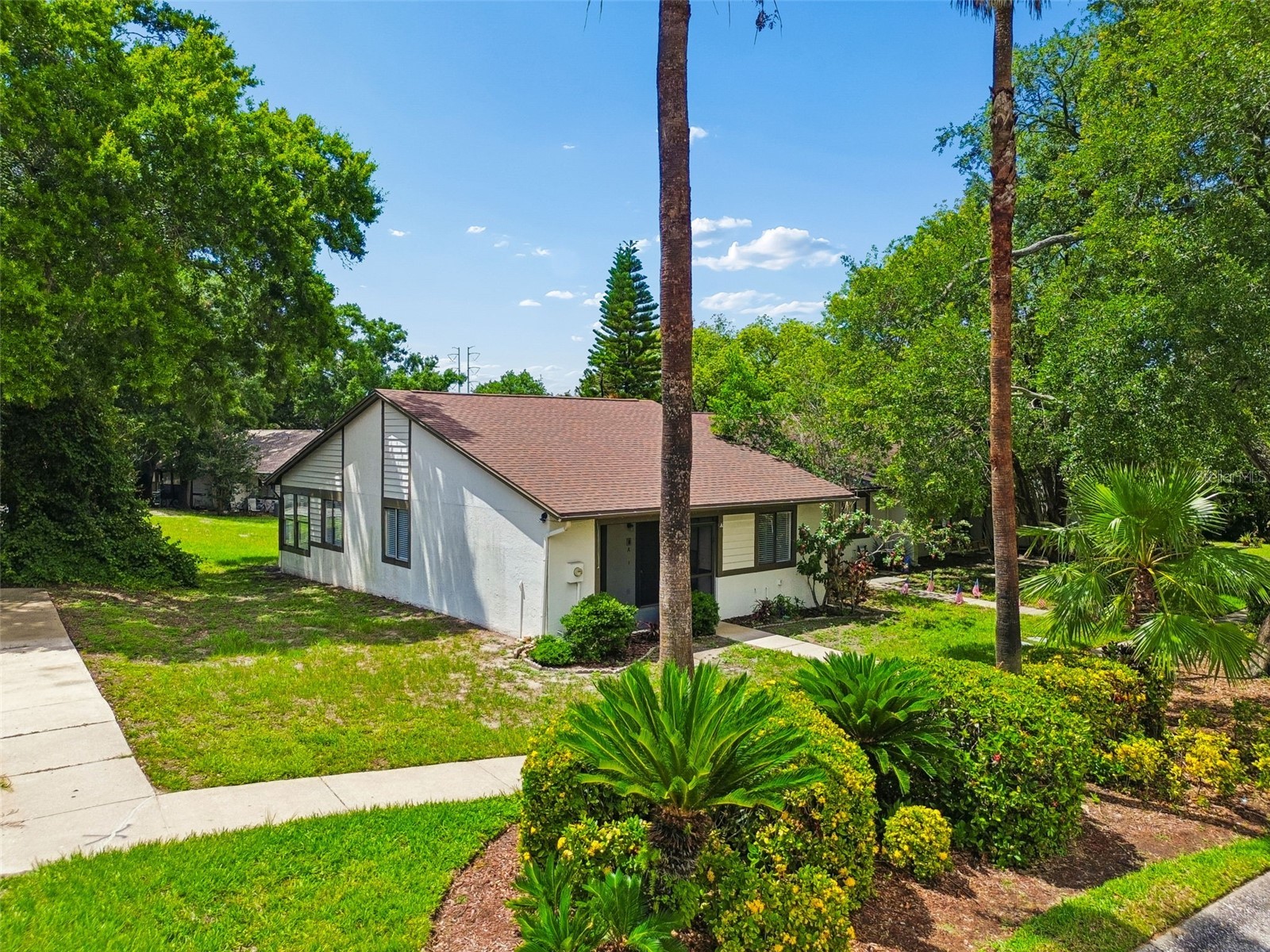 2945 Grovewood Boulevard #A Palm Harbor FL 34683 TB8514189 image54