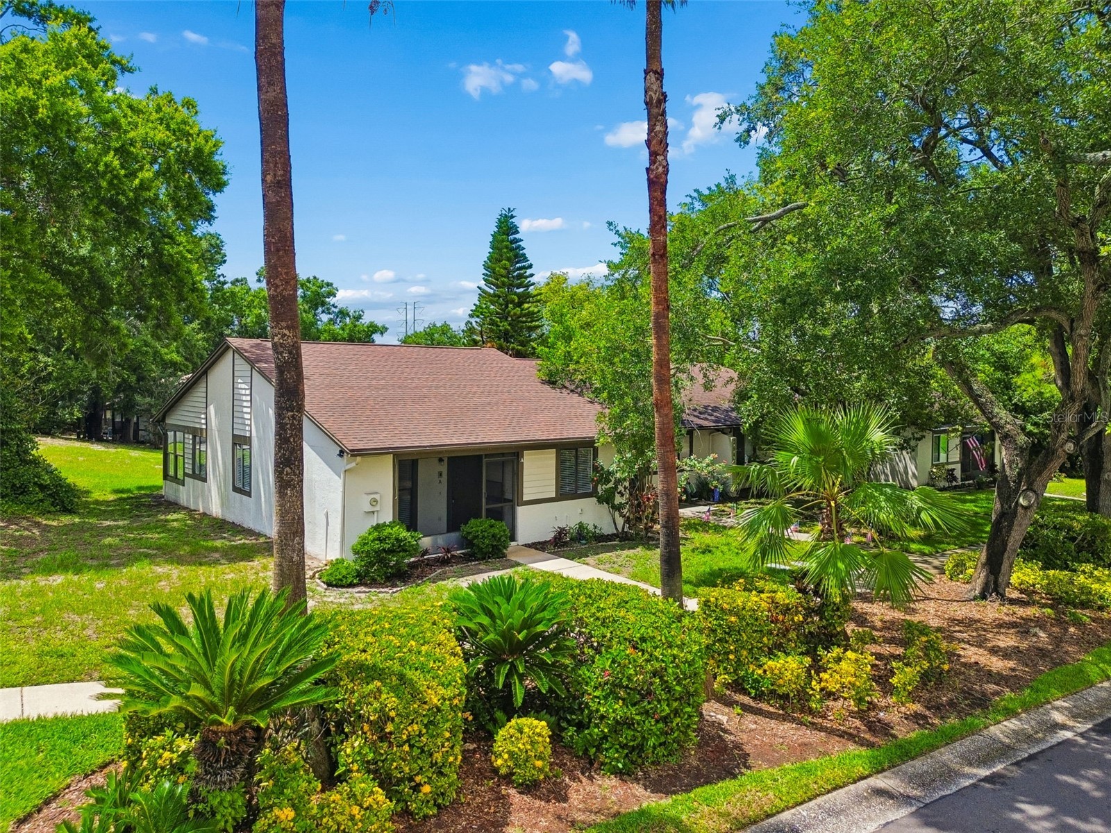 2945 Grovewood Boulevard #A Palm Harbor FL 34683 TB8514189 image55
