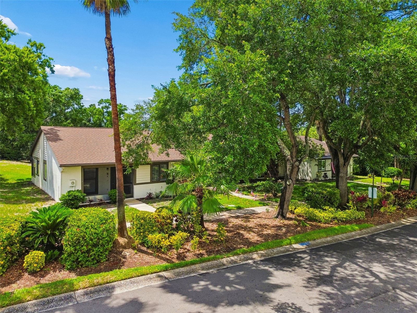 2945 Grovewood Boulevard #A Palm Harbor FL 34683 TB8514189 image56
