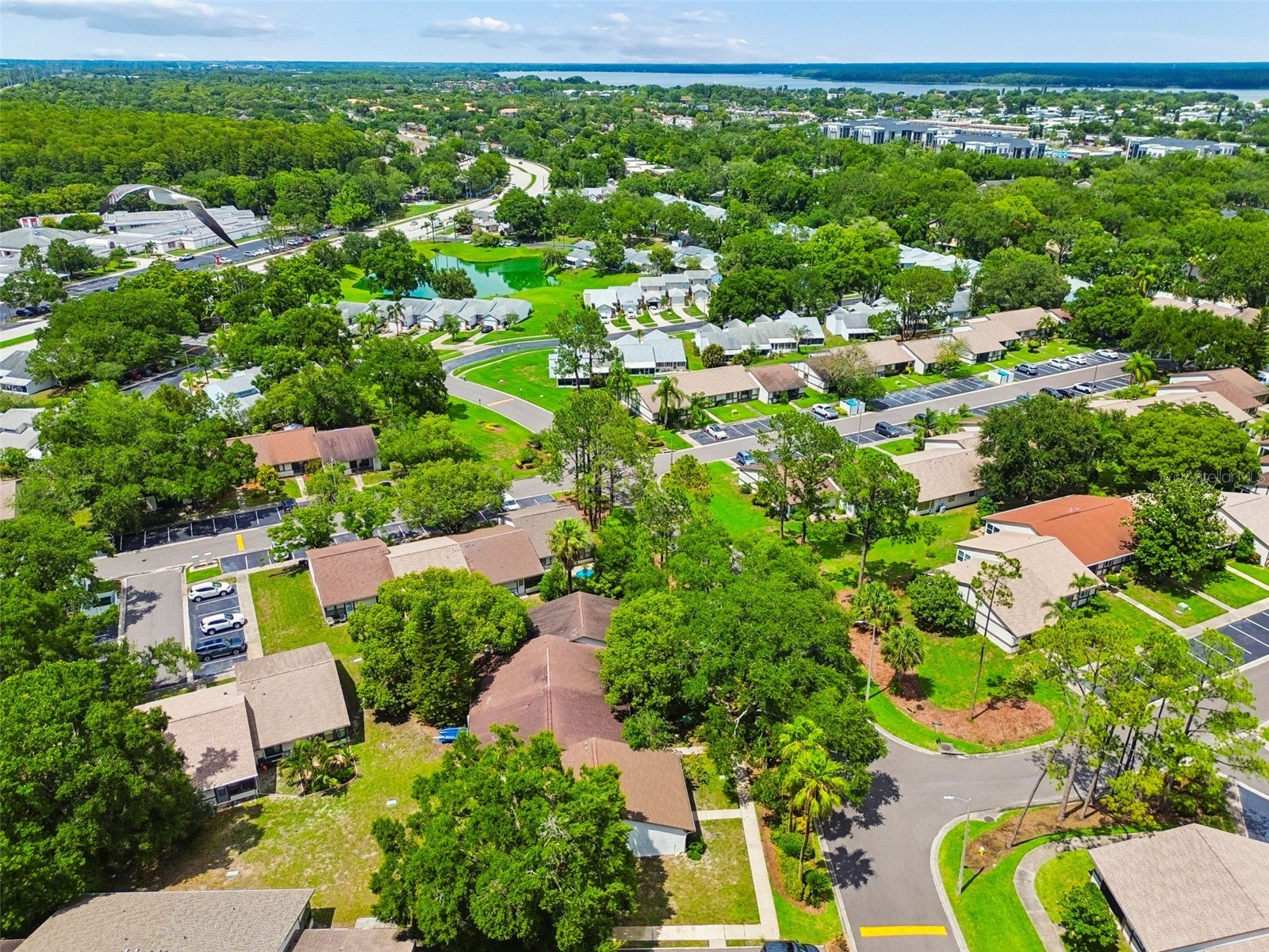 2945 Grovewood Boulevard #A Palm Harbor FL 34683 TB8514189 image59