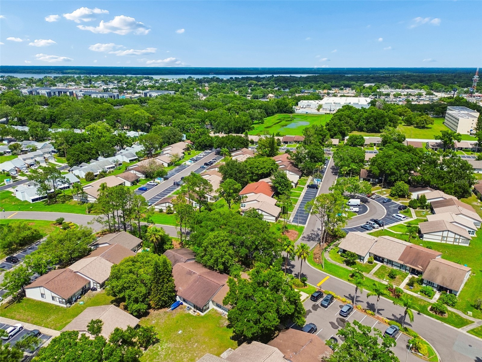 2945 Grovewood Boulevard #A Palm Harbor FL 34683 TB8514189 image60