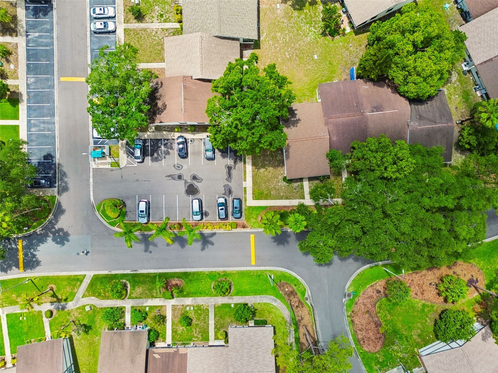 2945 Grovewood Boulevard #A Palm Harbor FL 34683 TB8514189 image62