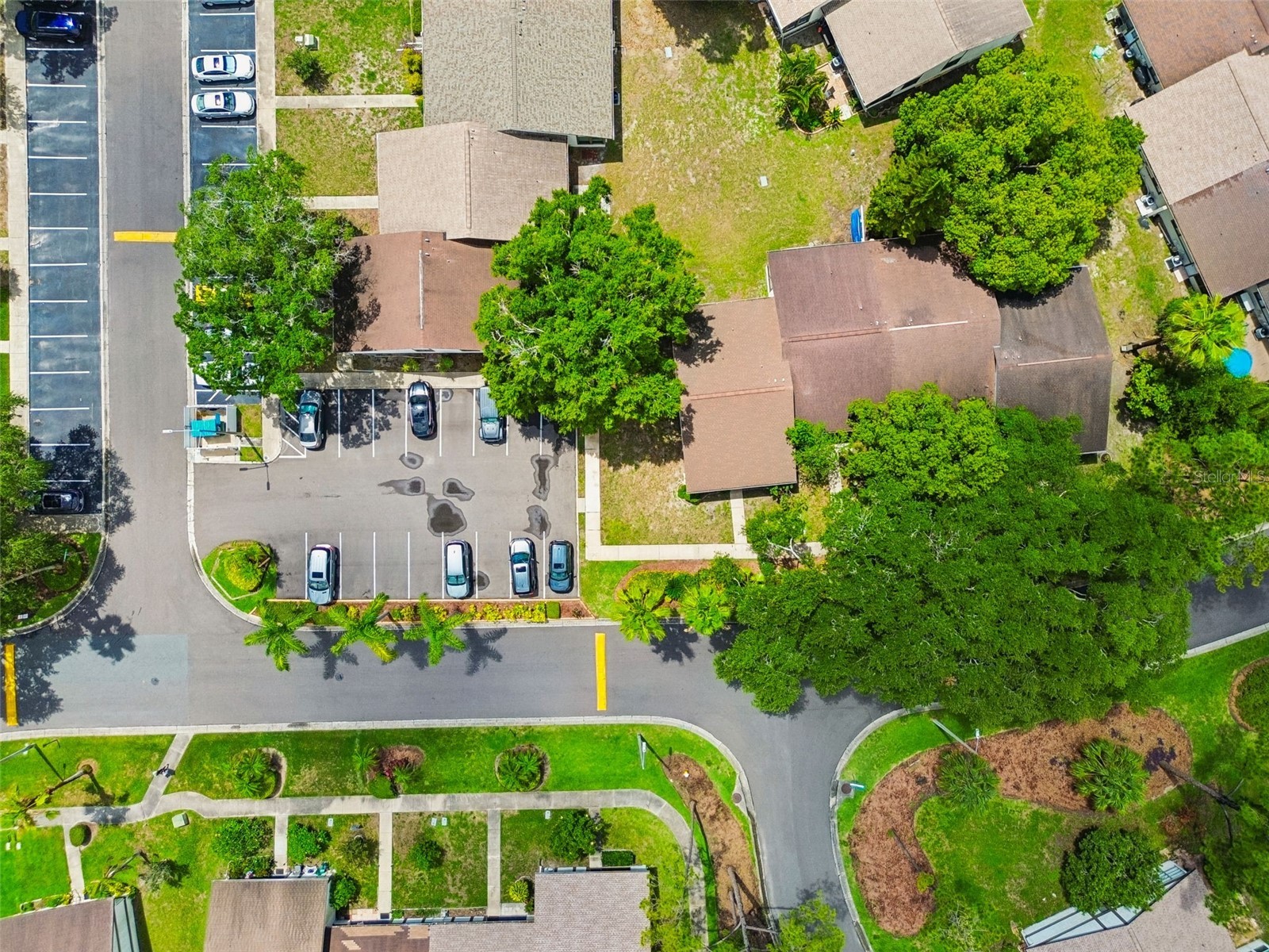 2945 Grovewood Boulevard #A Palm Harbor FL 34683 TB8514189 image63