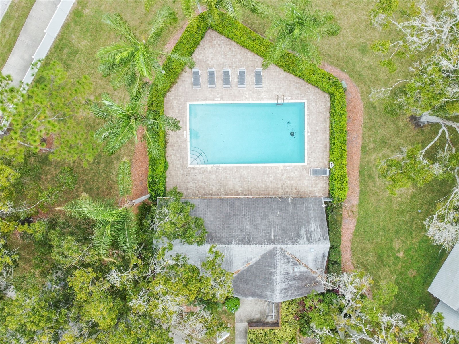 2945 Grovewood Boulevard #A Palm Harbor FL 34683 TB8514189 image66