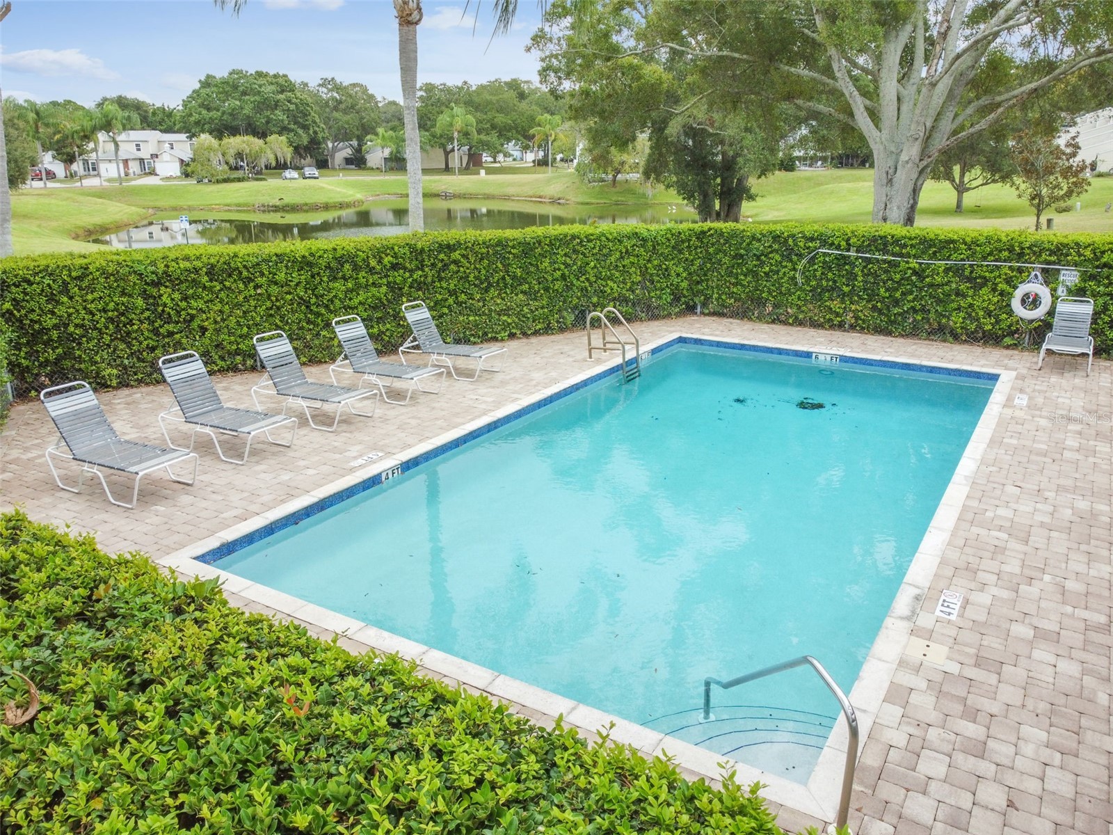 2945 Grovewood Boulevard #A Palm Harbor FL 34683 TB8514189 image71