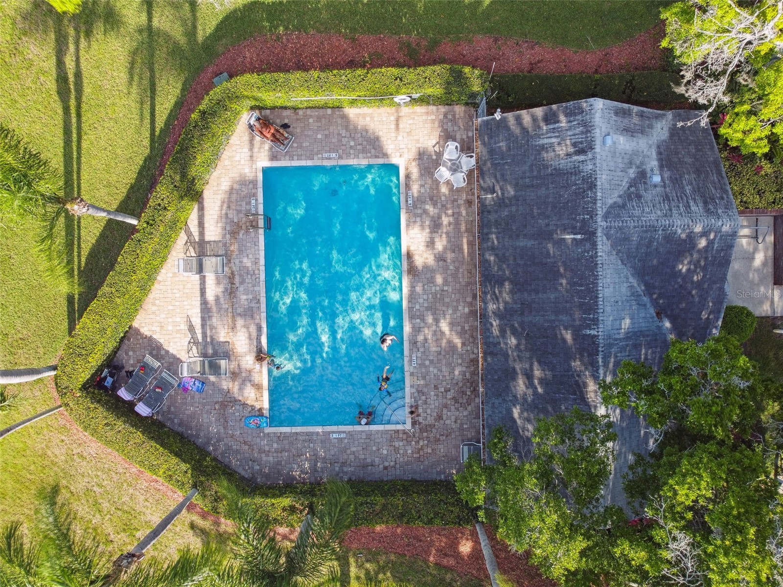 2945 Grovewood Boulevard #A Palm Harbor FL 34683 TB8514189 image78