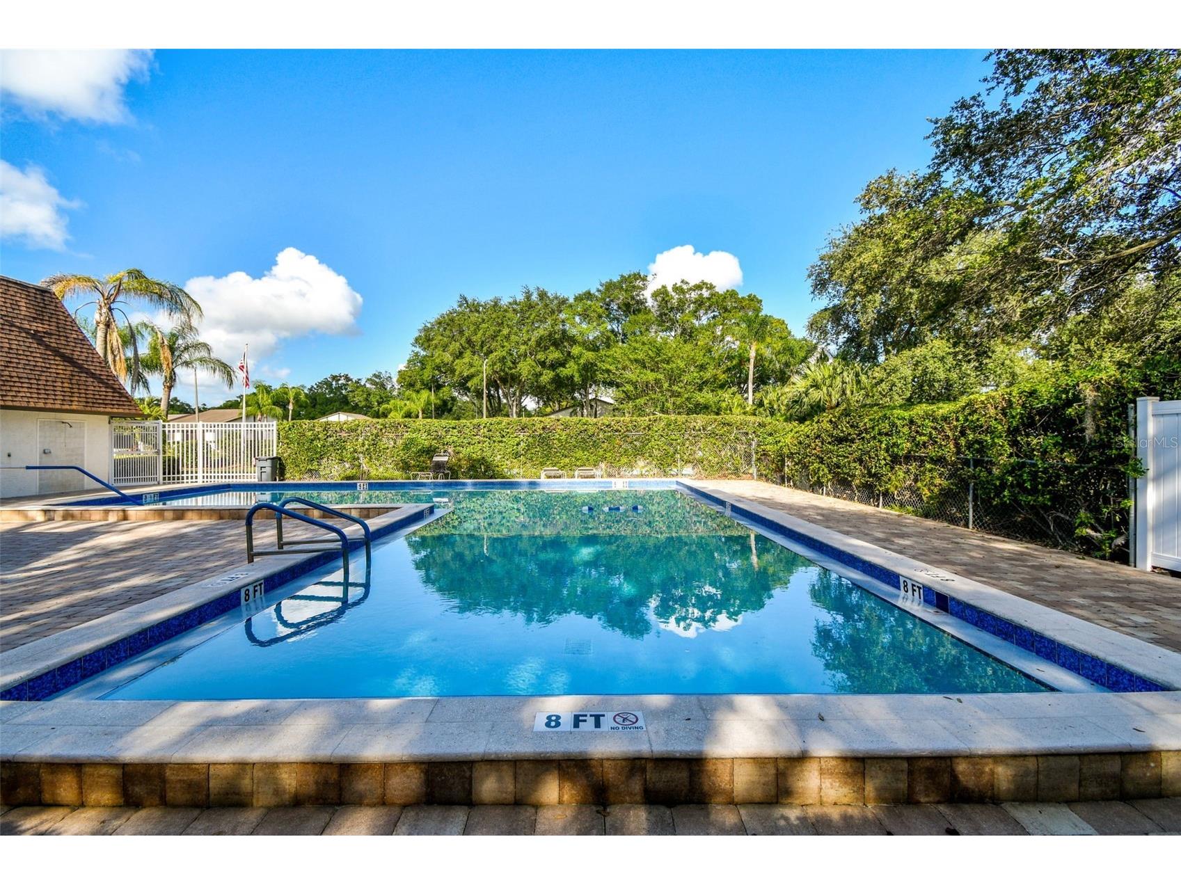 2945 Grovewood Boulevard #A Palm Harbor FL 34683 TB8514189 image87