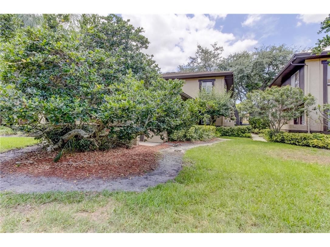 2945 Lichen Lane #A Clearwater FL 33760 TB8393819 image25