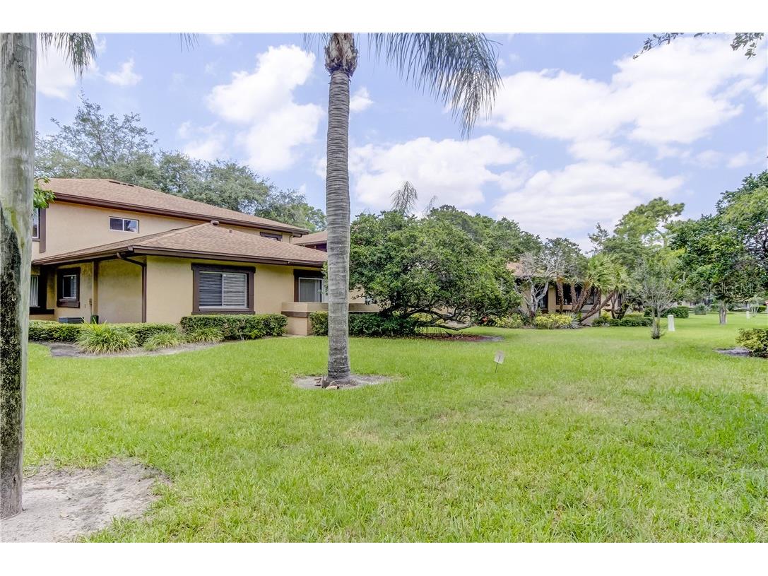 2945 Lichen Lane #A Clearwater FL 33760 TB8393819 image27