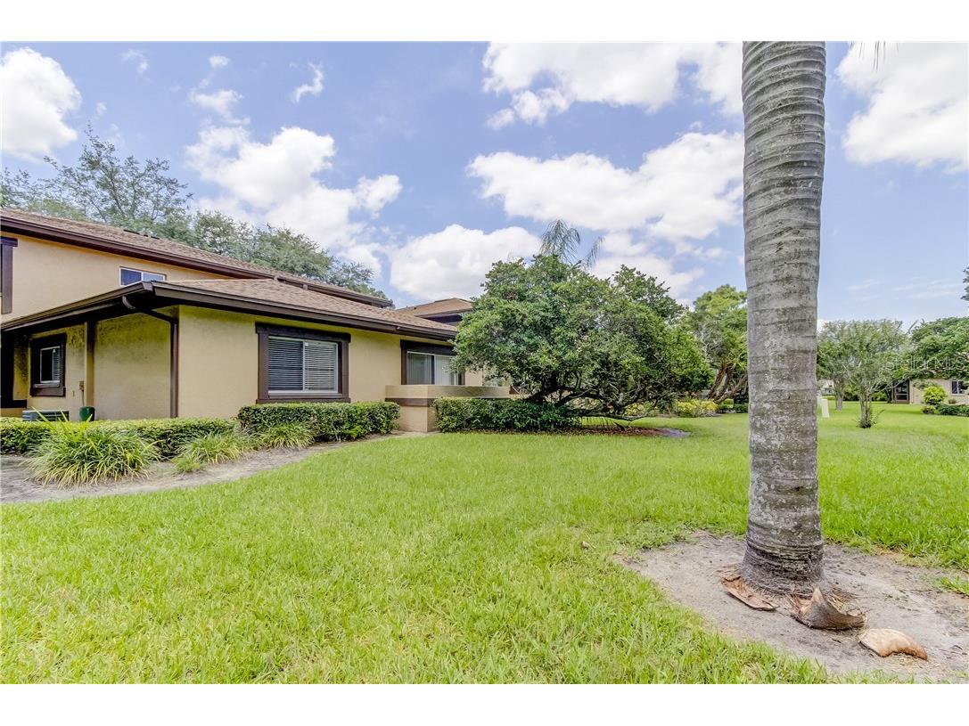 2945 Lichen Lane #A Clearwater FL 33760 TB8393819 image28
