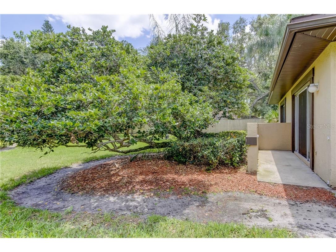 2945 Lichen Lane #A Clearwater FL 33760 TB8393819 image3