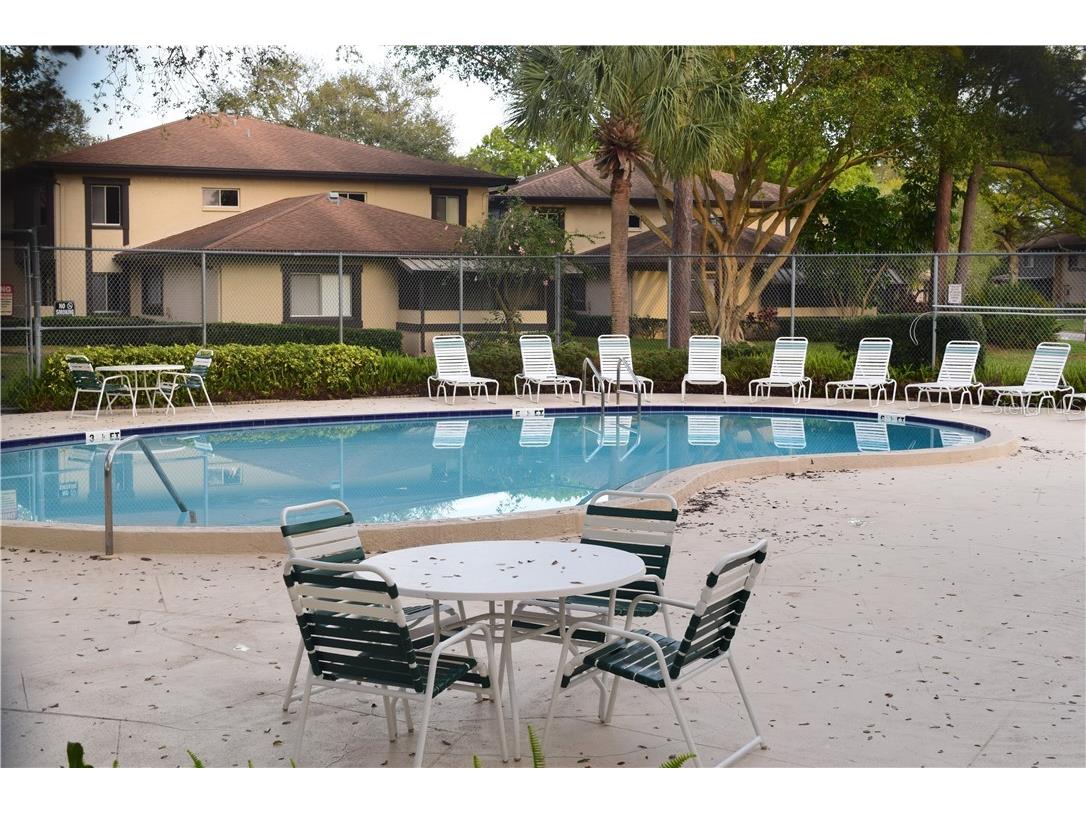 2945 Lichen Lane #A Clearwater FL 33760 TB8393819 image33