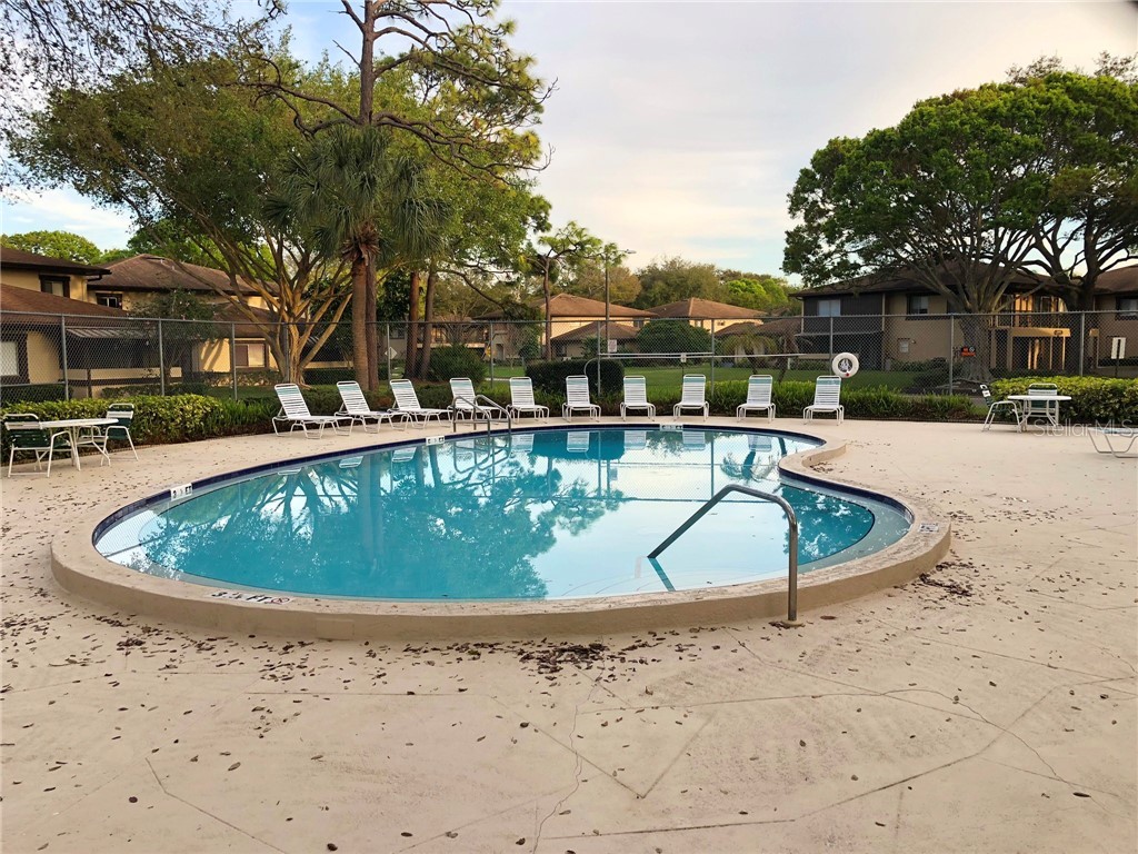 2945 Lichen Lane #A Clearwater FL 33760 TB8393819 image34