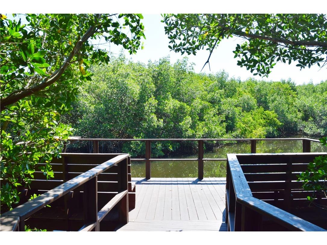 2945 Lichen Lane #A Clearwater FL 33760 TB8393819 image36