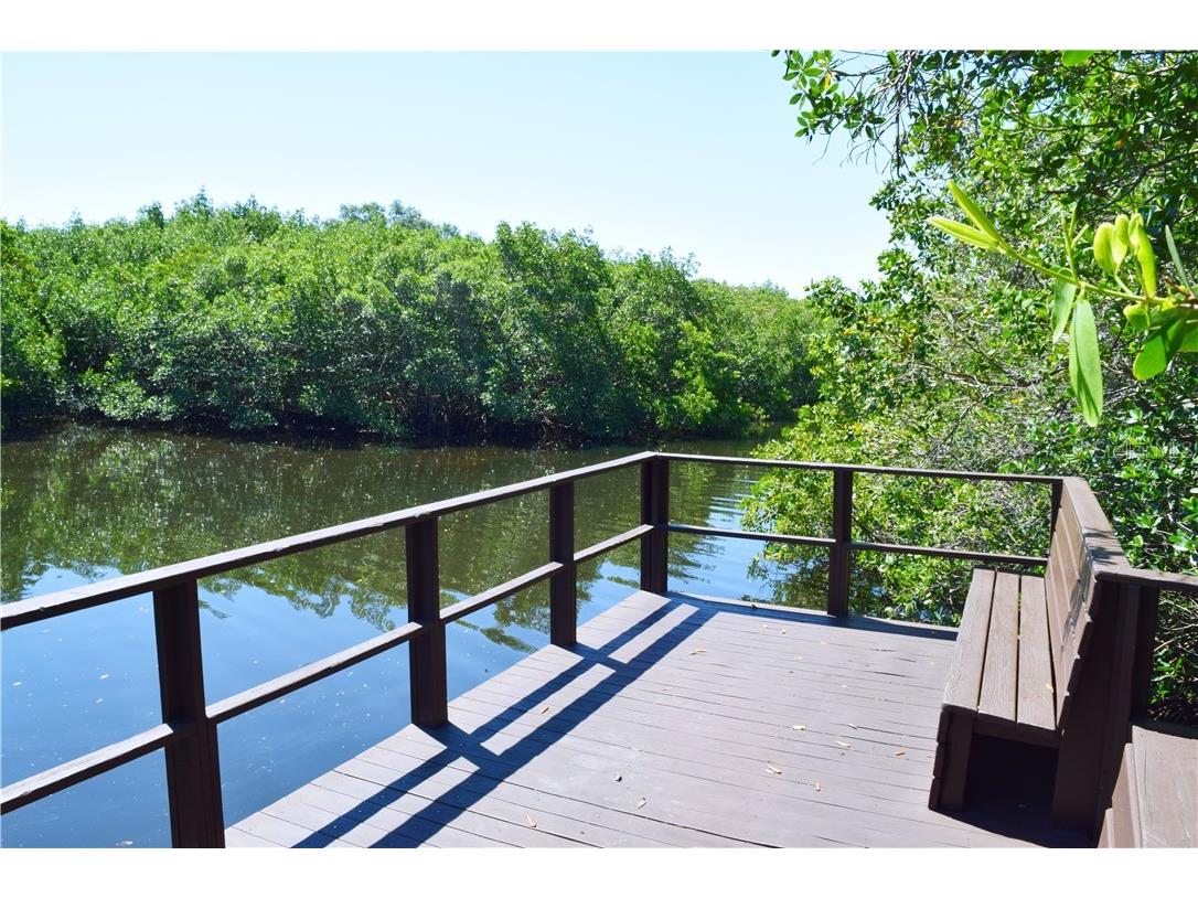 2945 Lichen Lane #A Clearwater FL 33760 TB8393819 image37