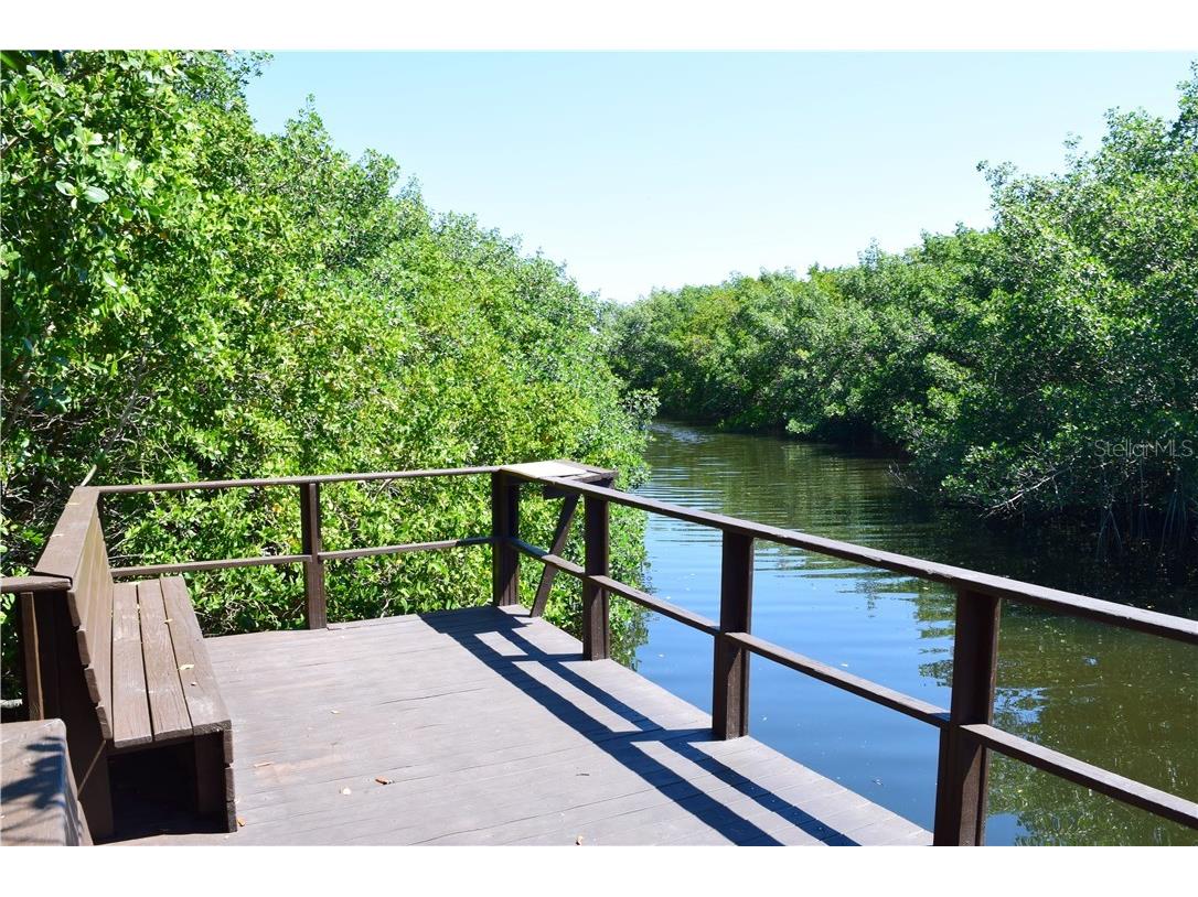 2945 Lichen Lane #A Clearwater FL 33760 TB8393819 image38