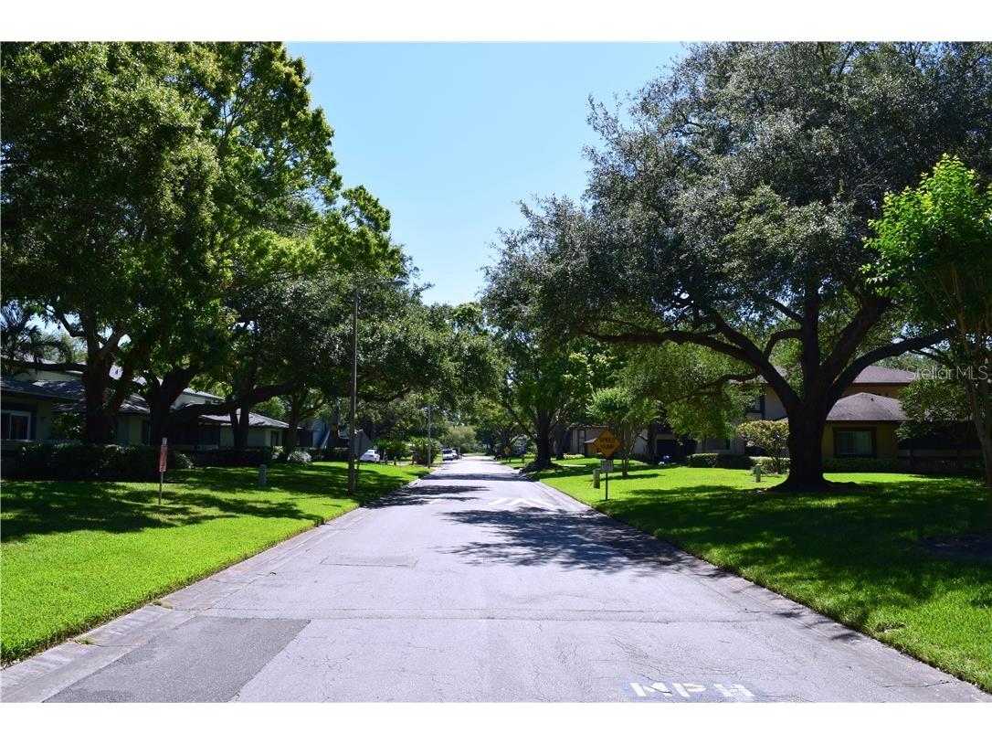 2945 Lichen Lane #A Clearwater FL 33760 TB8393819 image39