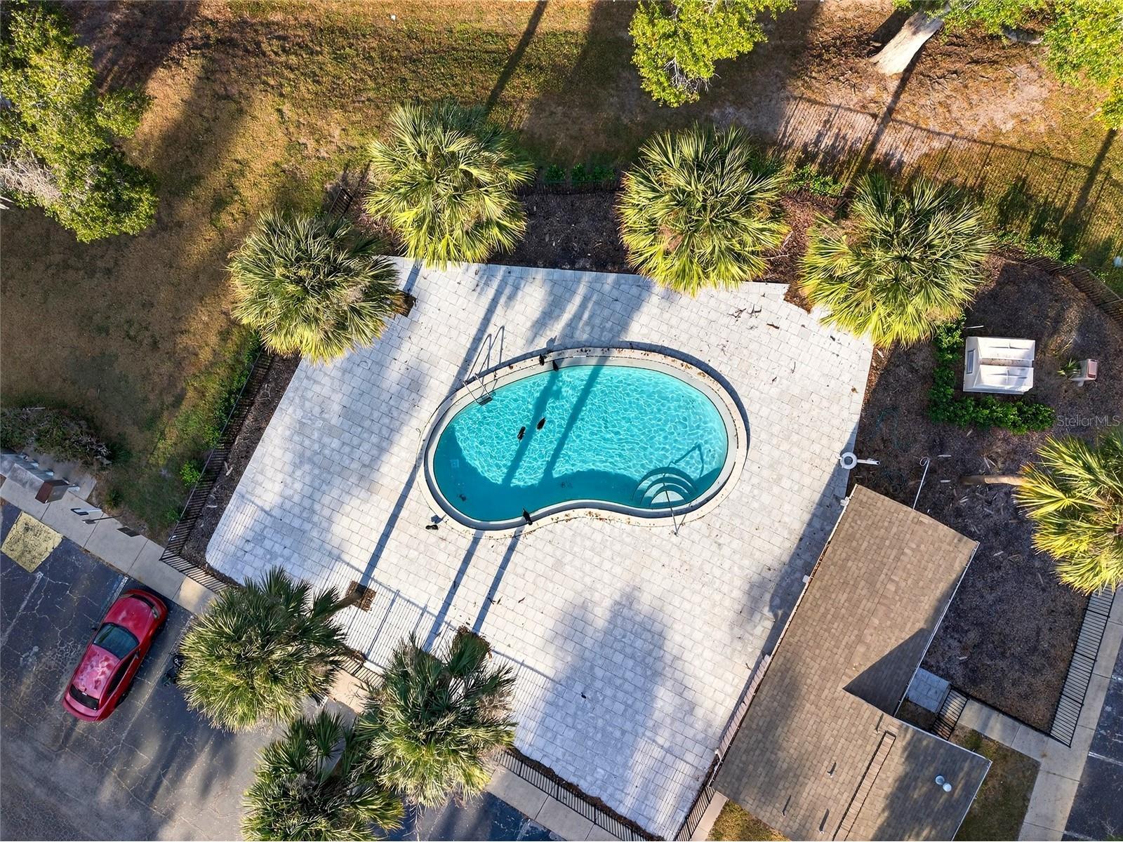 2945 SW 32nd Avenue #D6 Ocala FL 34474 OM727780 image16
