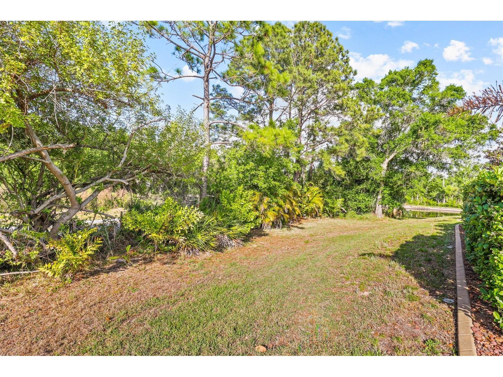 2945 Wood Pointe Drive Holiday FL 34691 TB8494010 image38
