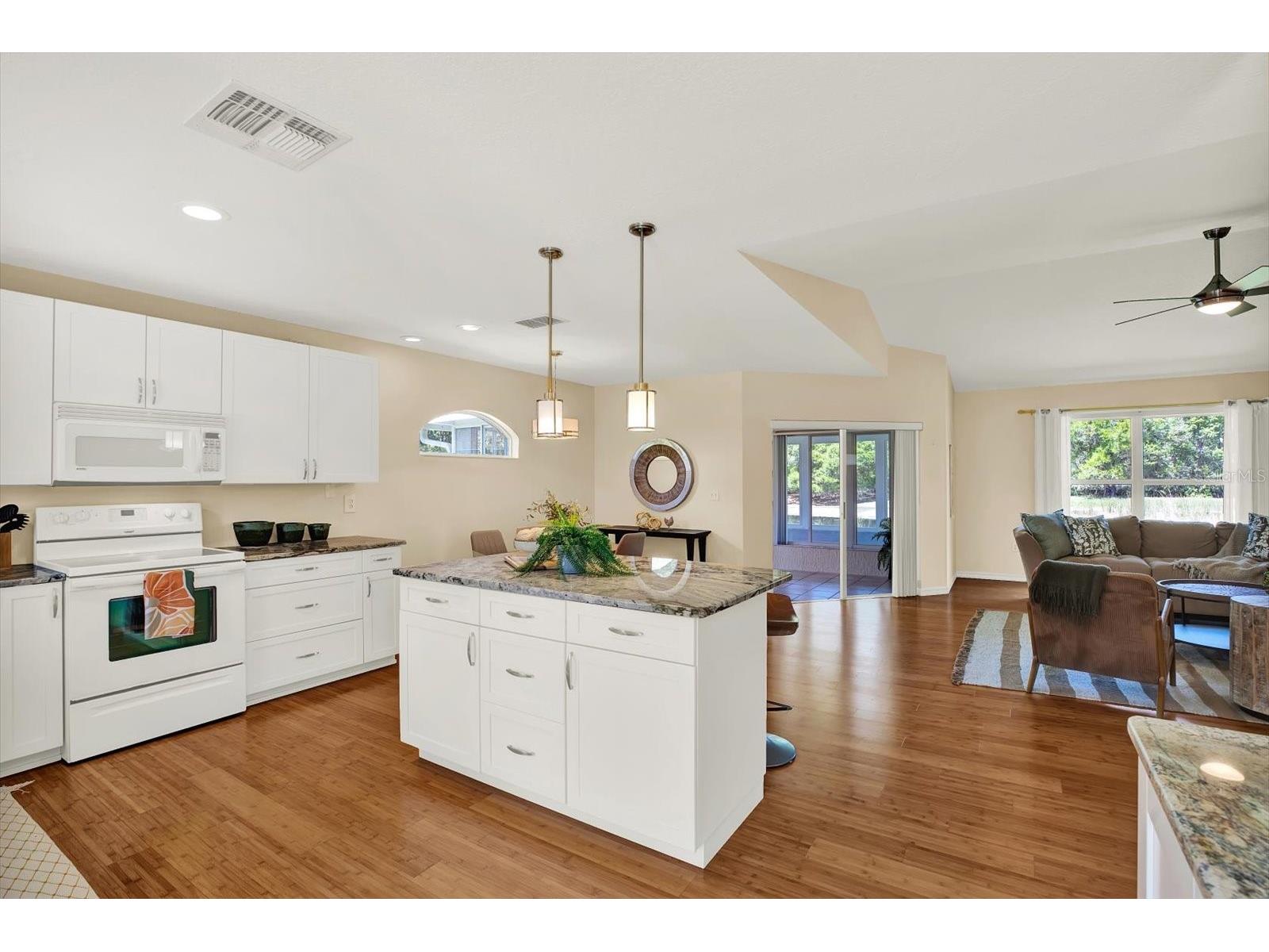 29451 Schinnecock Hills Lane San Antonio FL 33576 TB8489925 image12
