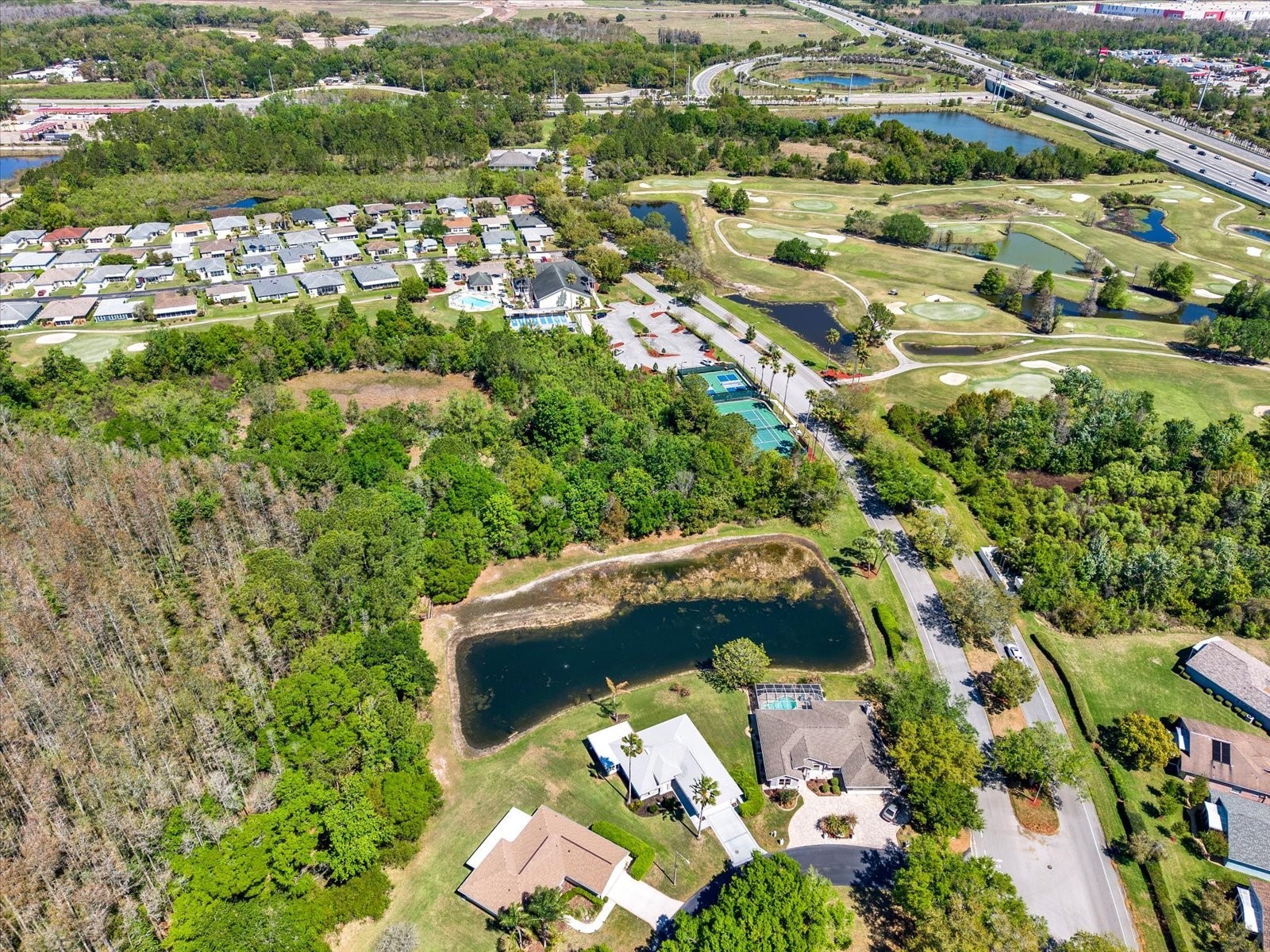 29451 Schinnecock Hills Lane San Antonio FL 33576 TB8489925 image50