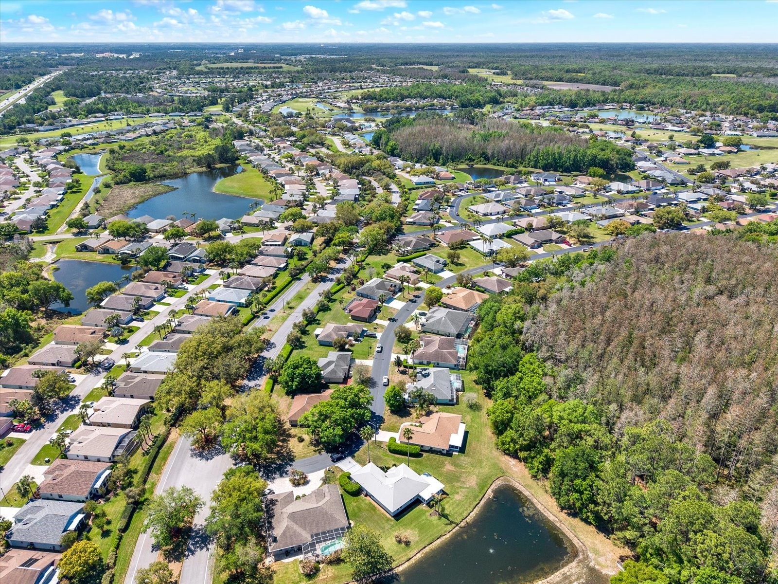 29451 Schinnecock Hills Lane San Antonio FL 33576 TB8489925 image51