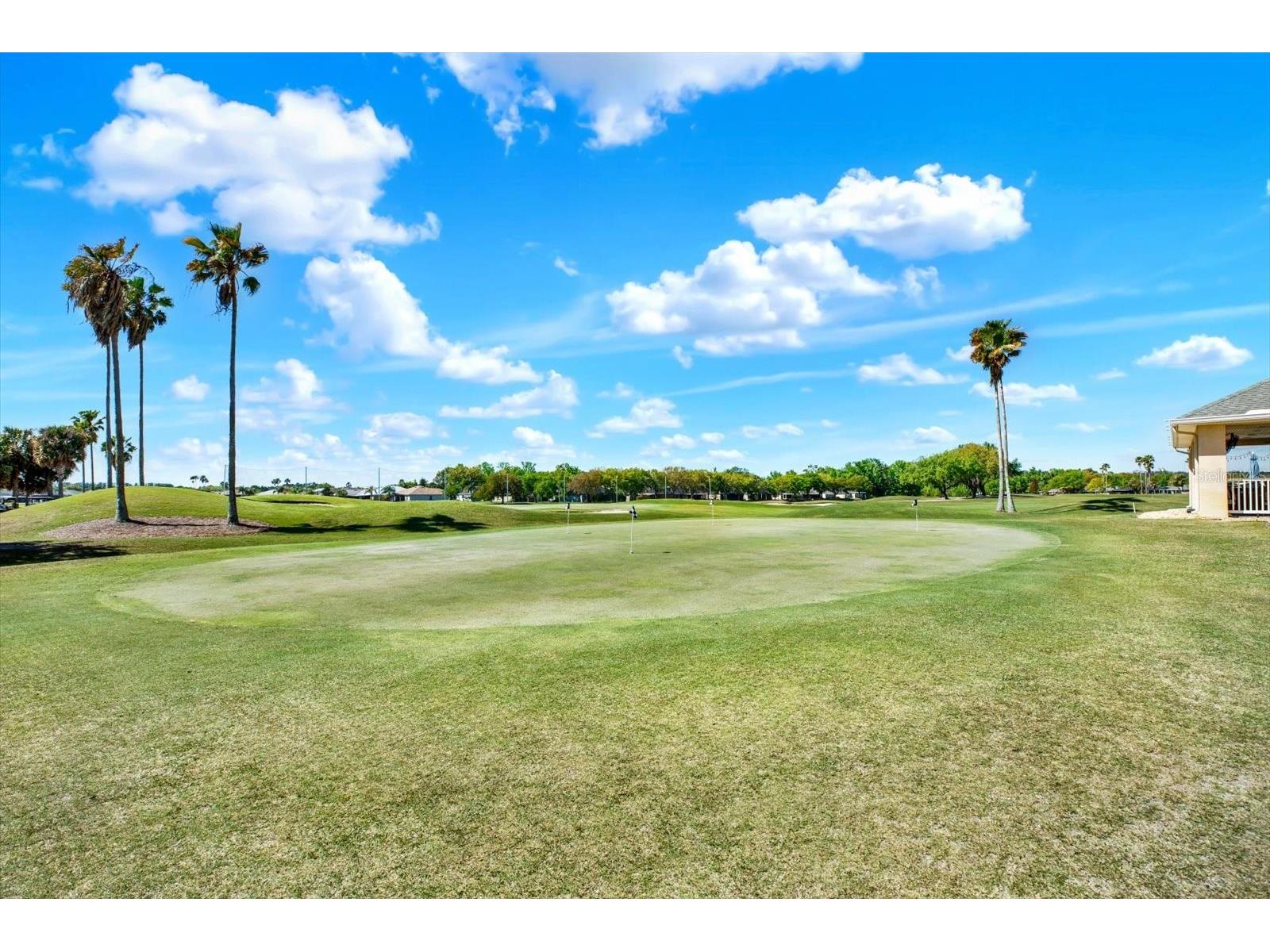 29451 Schinnecock Hills Lane San Antonio FL 33576 TB8489925 image54