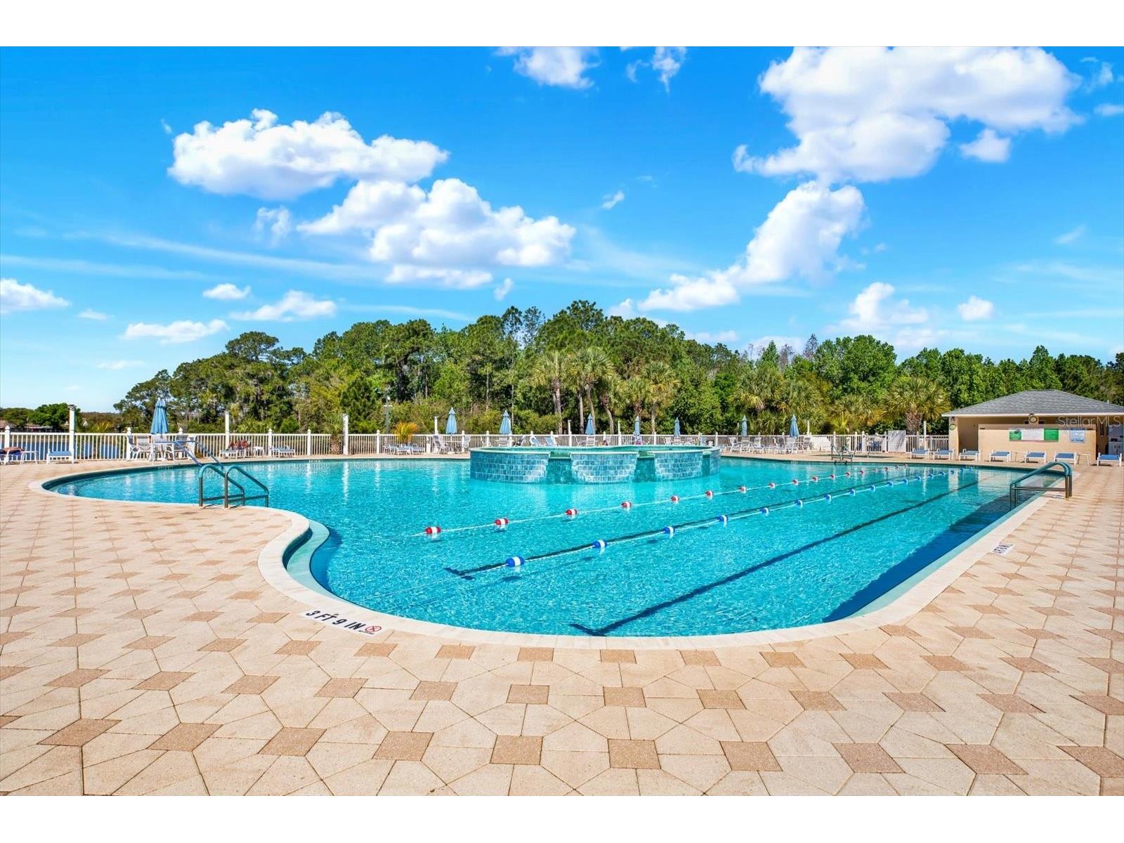 29451 Schinnecock Hills Lane San Antonio FL 33576 TB8489925 image55