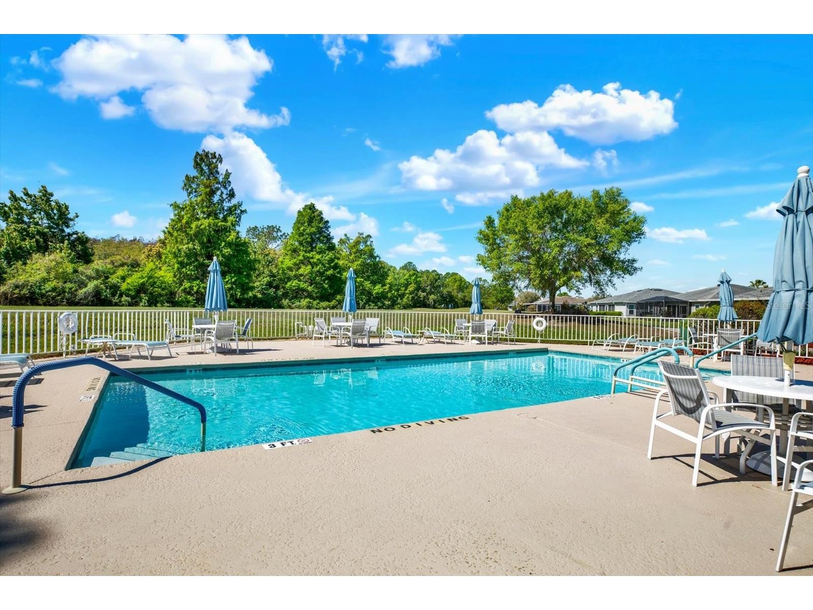 29451 Schinnecock Hills Lane San Antonio FL 33576 TB8489925 image72