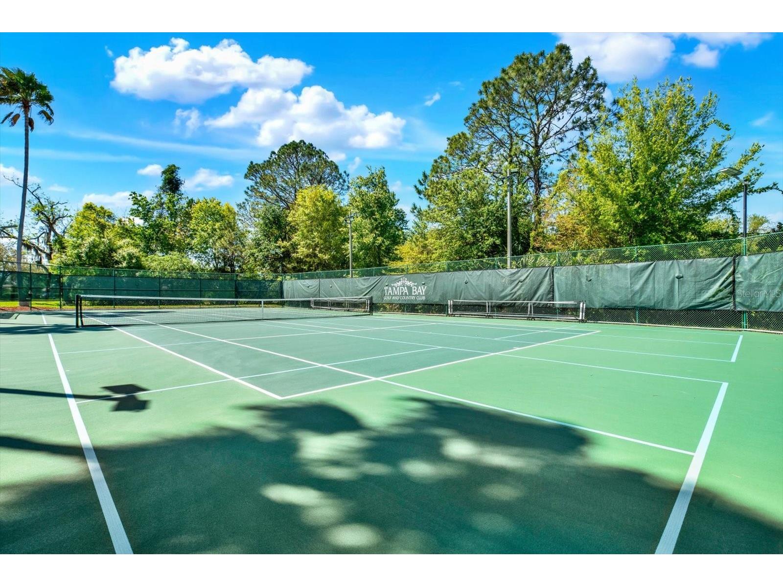 29451 Schinnecock Hills Lane San Antonio FL 33576 TB8489925 image74