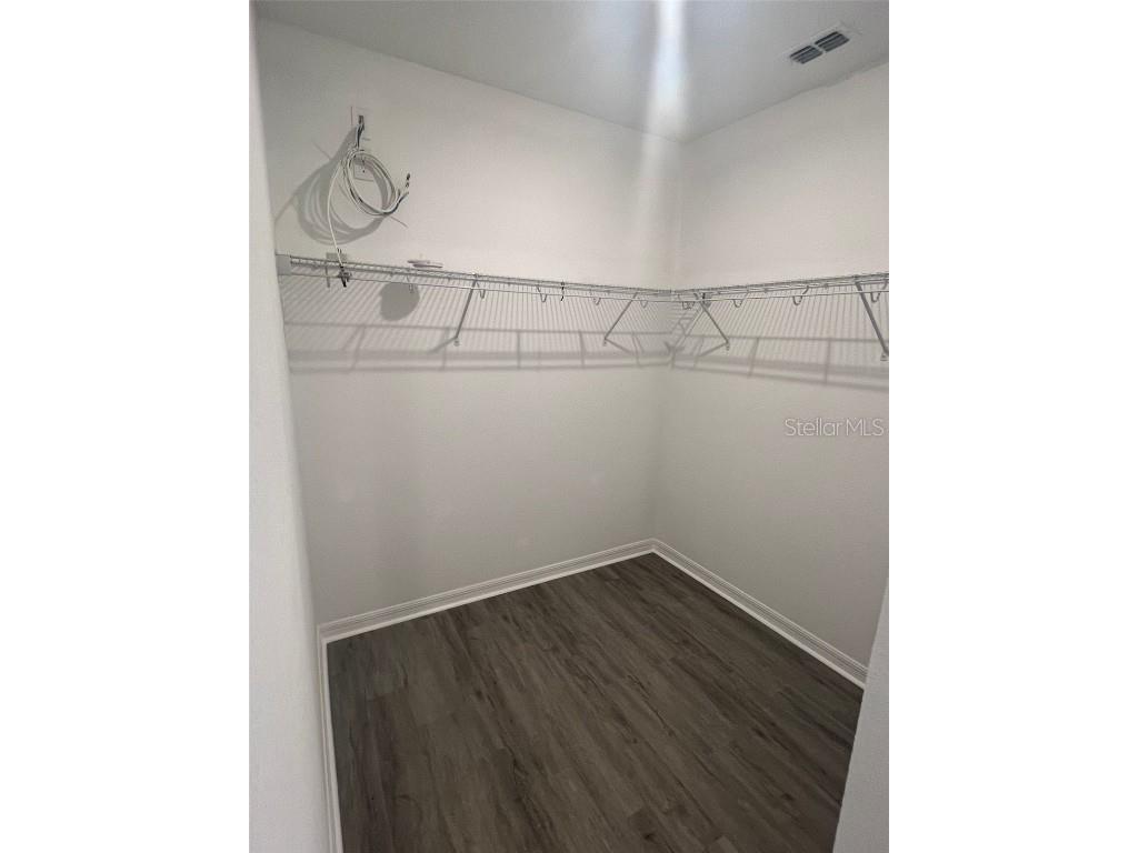 29453 Caspian Street Leesburg FL 34748 S5140501 image14