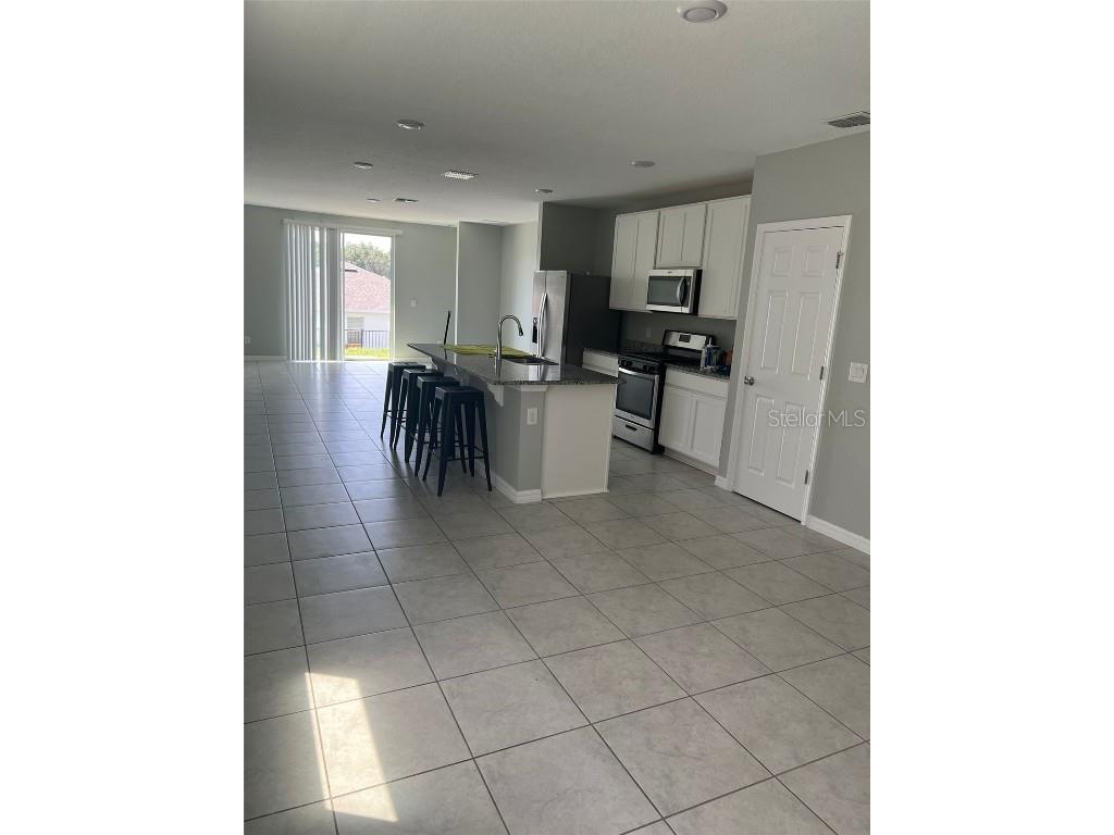 29453 Caspian Street Leesburg FL 34748 S5140501 image4