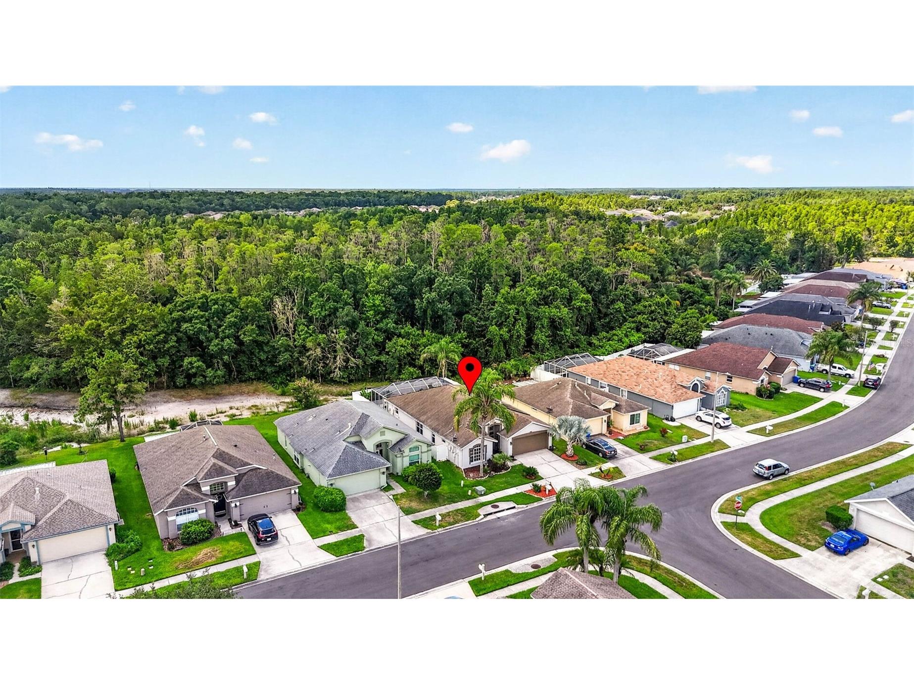 29454 Crossland Drive Wesley Chapel FL 33543 TB8483222 image48