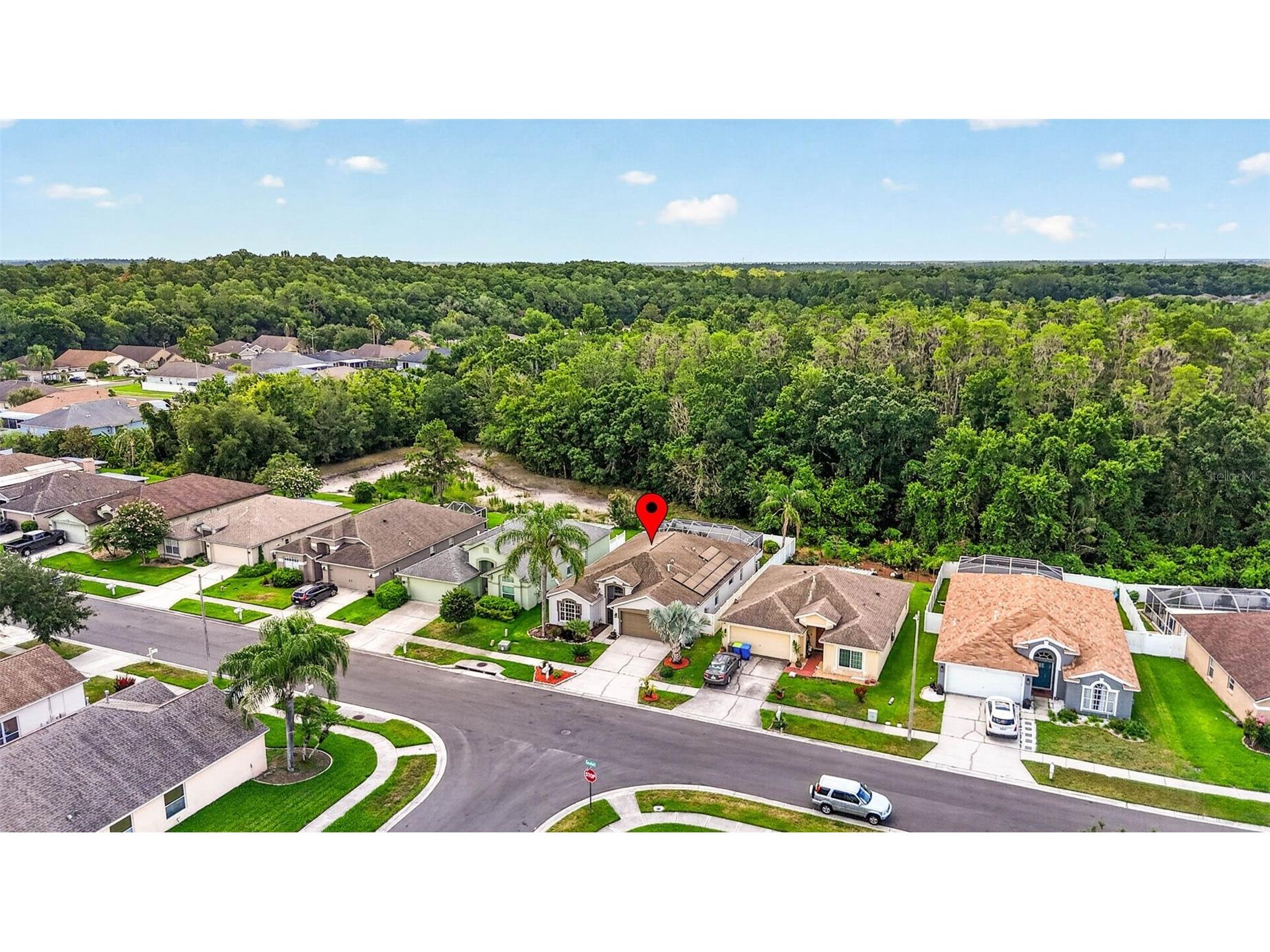 29454 Crossland Drive Wesley Chapel FL 33543 TB8483222 image49