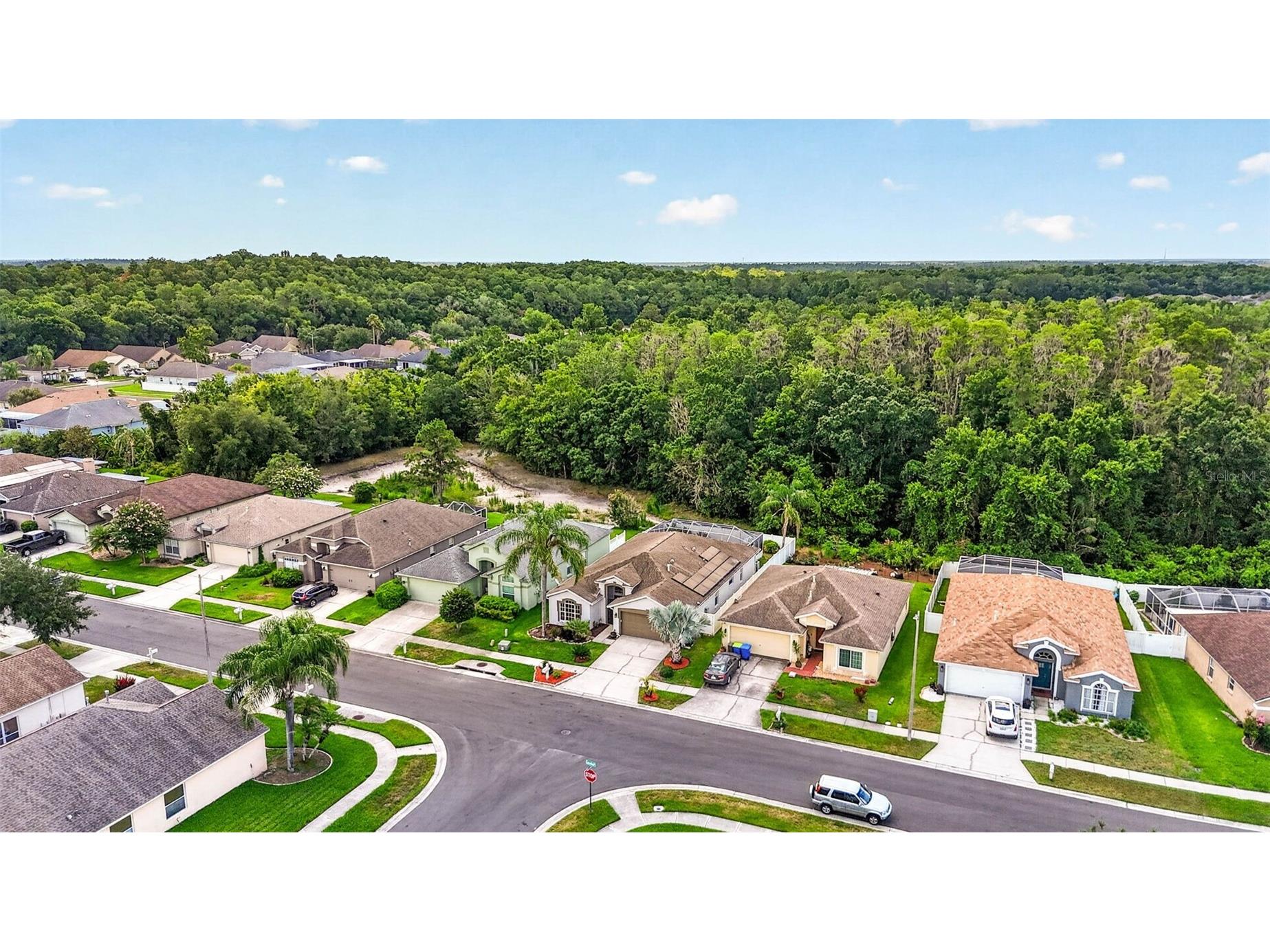 29454 Crossland Drive Wesley Chapel FL 33543 TB8483222 image50