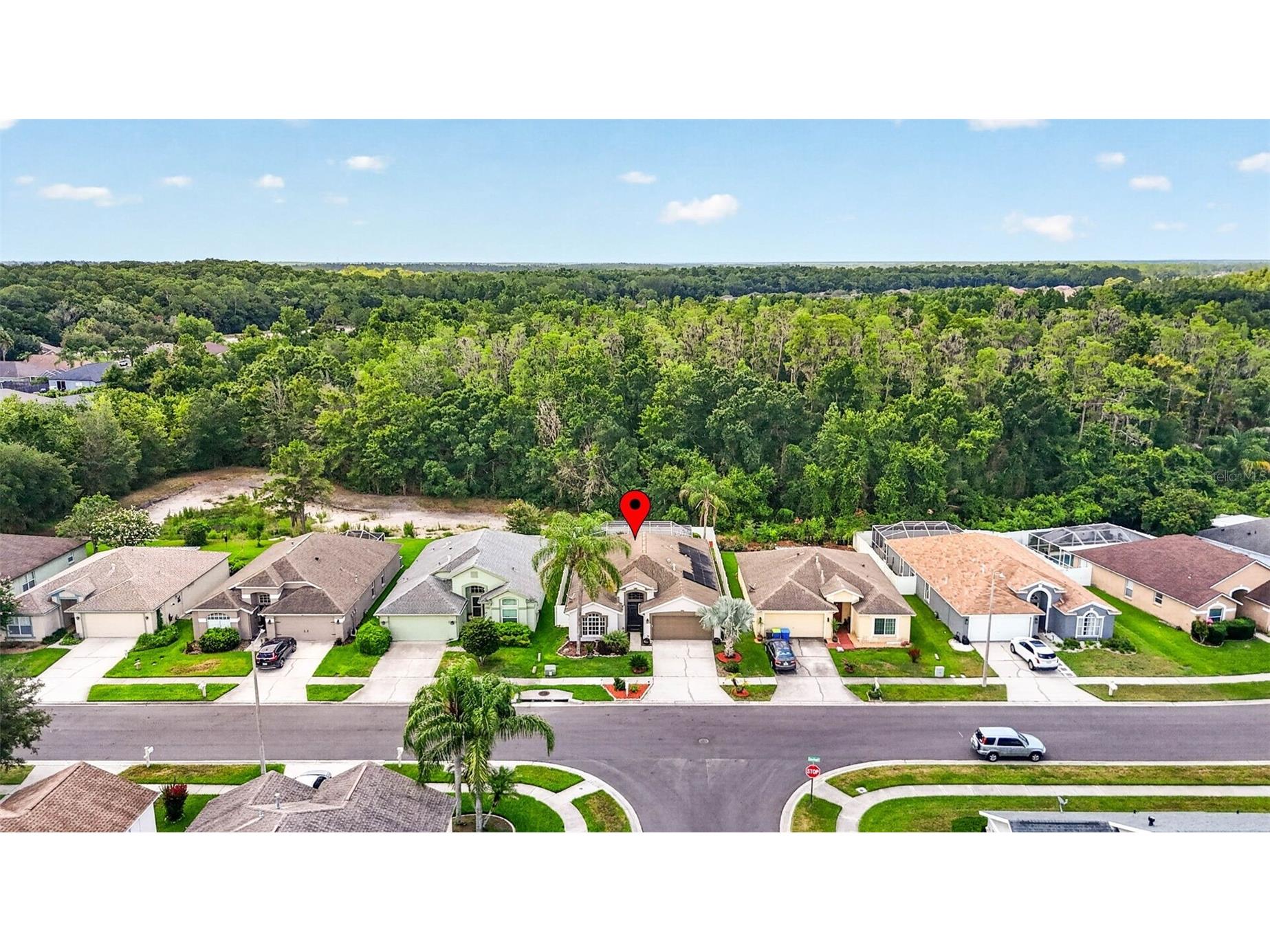29454 Crossland Drive Wesley Chapel FL 33543 TB8483222 image51