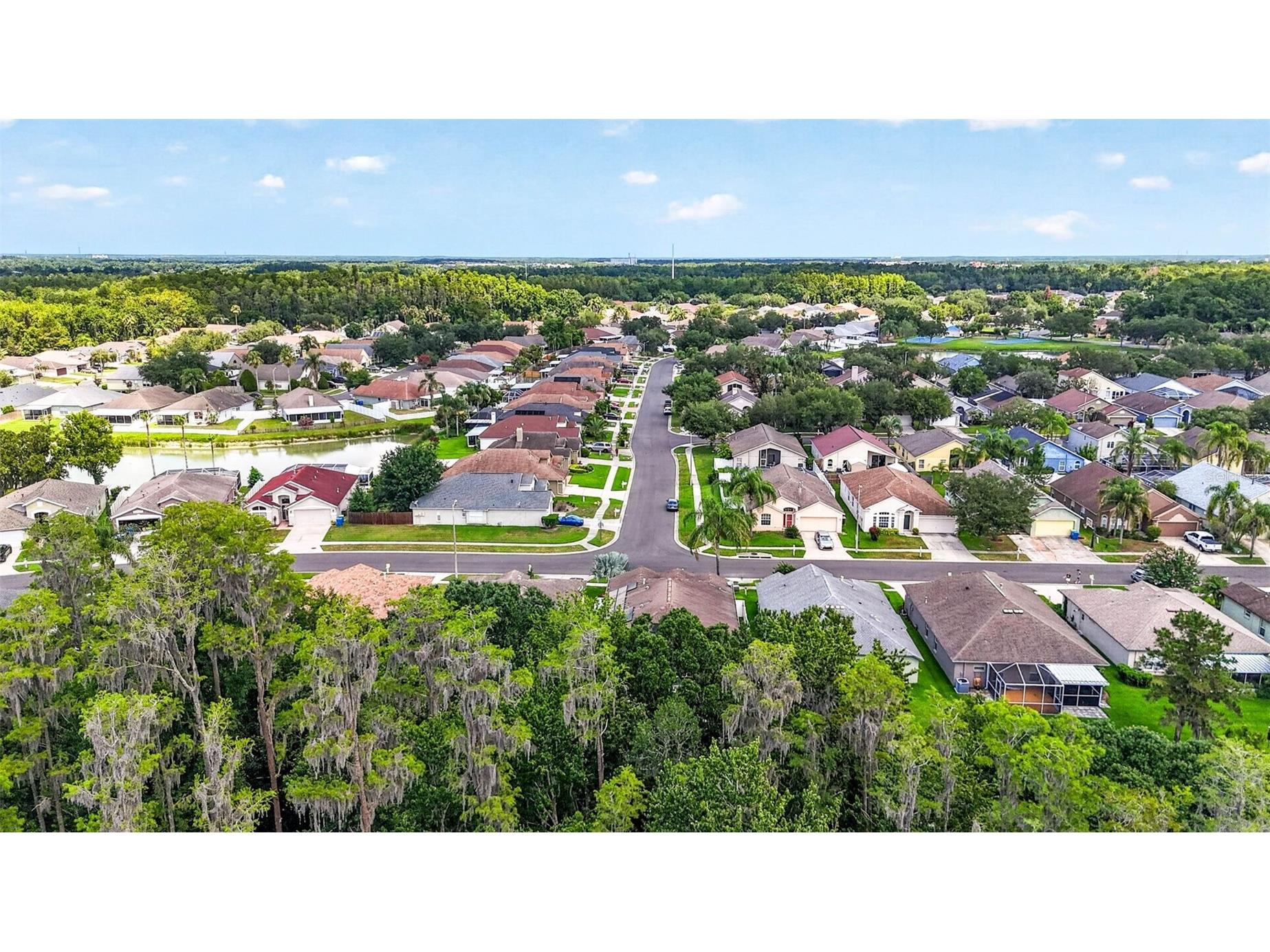 29454 Crossland Drive Wesley Chapel FL 33543 TB8483222 image52