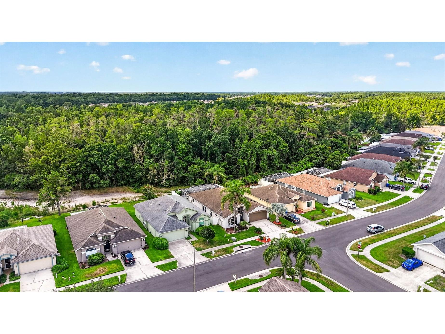 29454 Crossland Drive Wesley Chapel FL 33543 TB8483222 image53