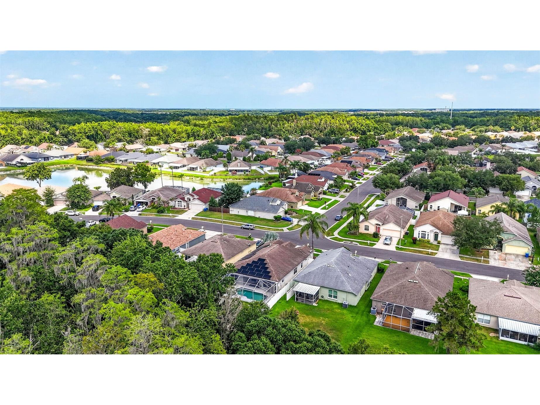 29454 Crossland Drive Wesley Chapel FL 33543 TB8483222 image54