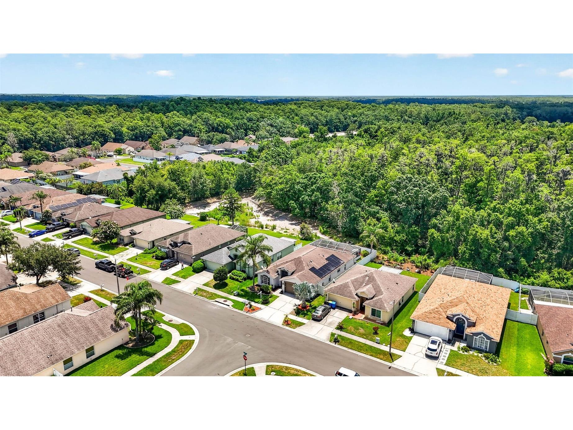 29454 Crossland Drive Wesley Chapel FL 33543 TB8483222 image55