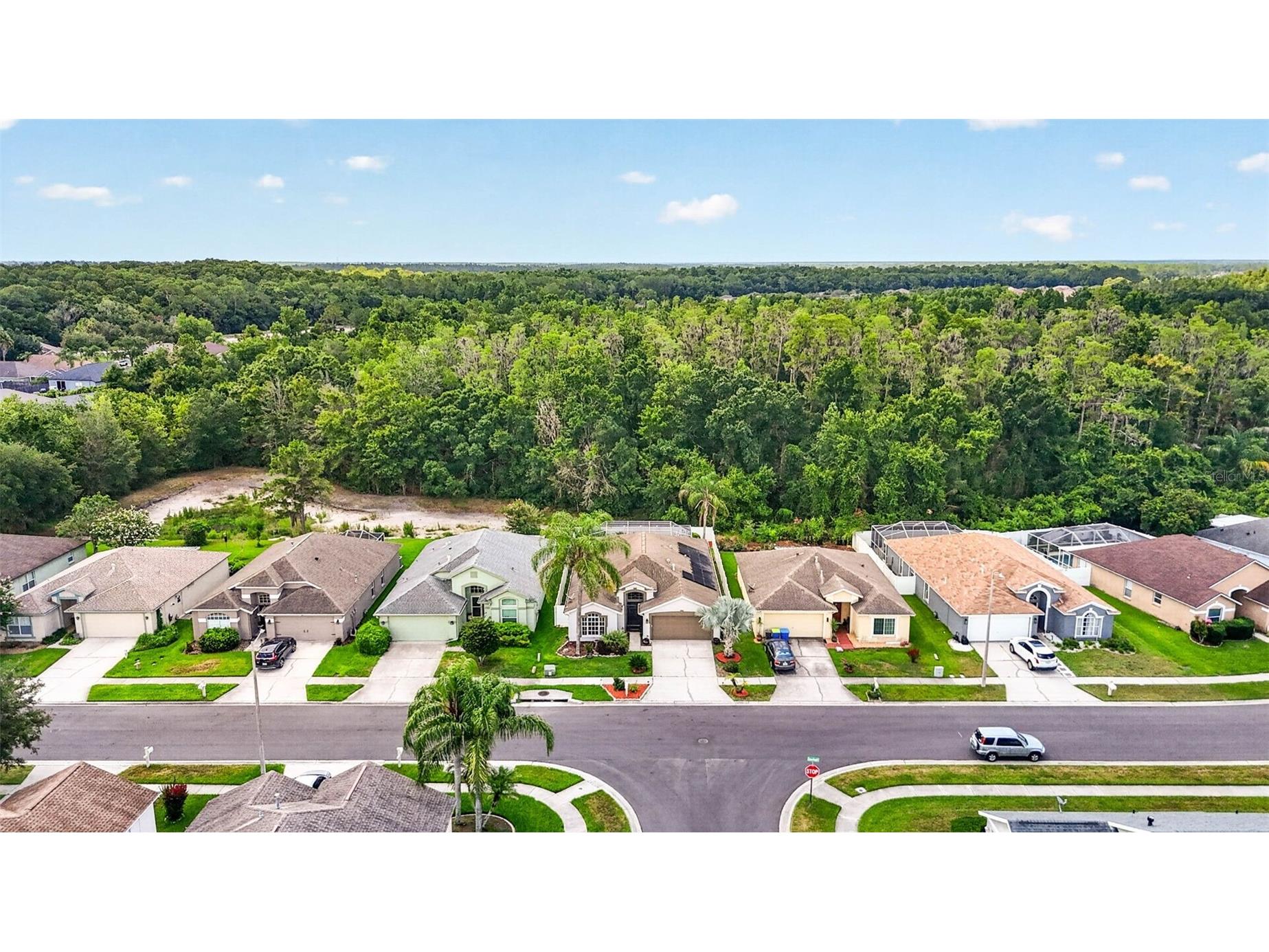 29454 Crossland Drive Wesley Chapel FL 33543 TB8483222 image56