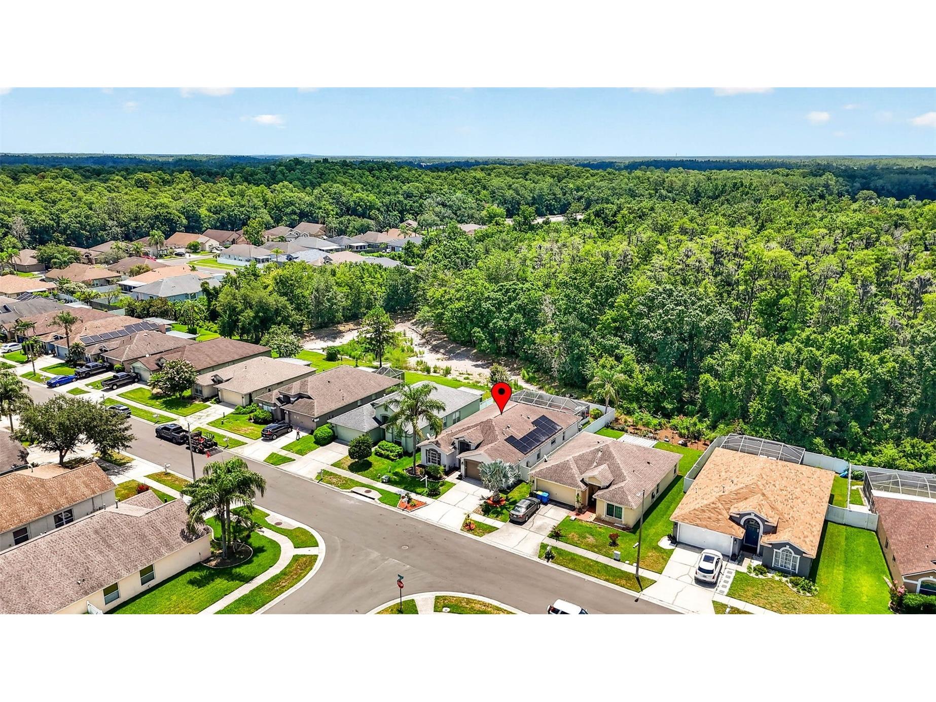 29454 Crossland Drive Wesley Chapel FL 33543 TB8483222 image57