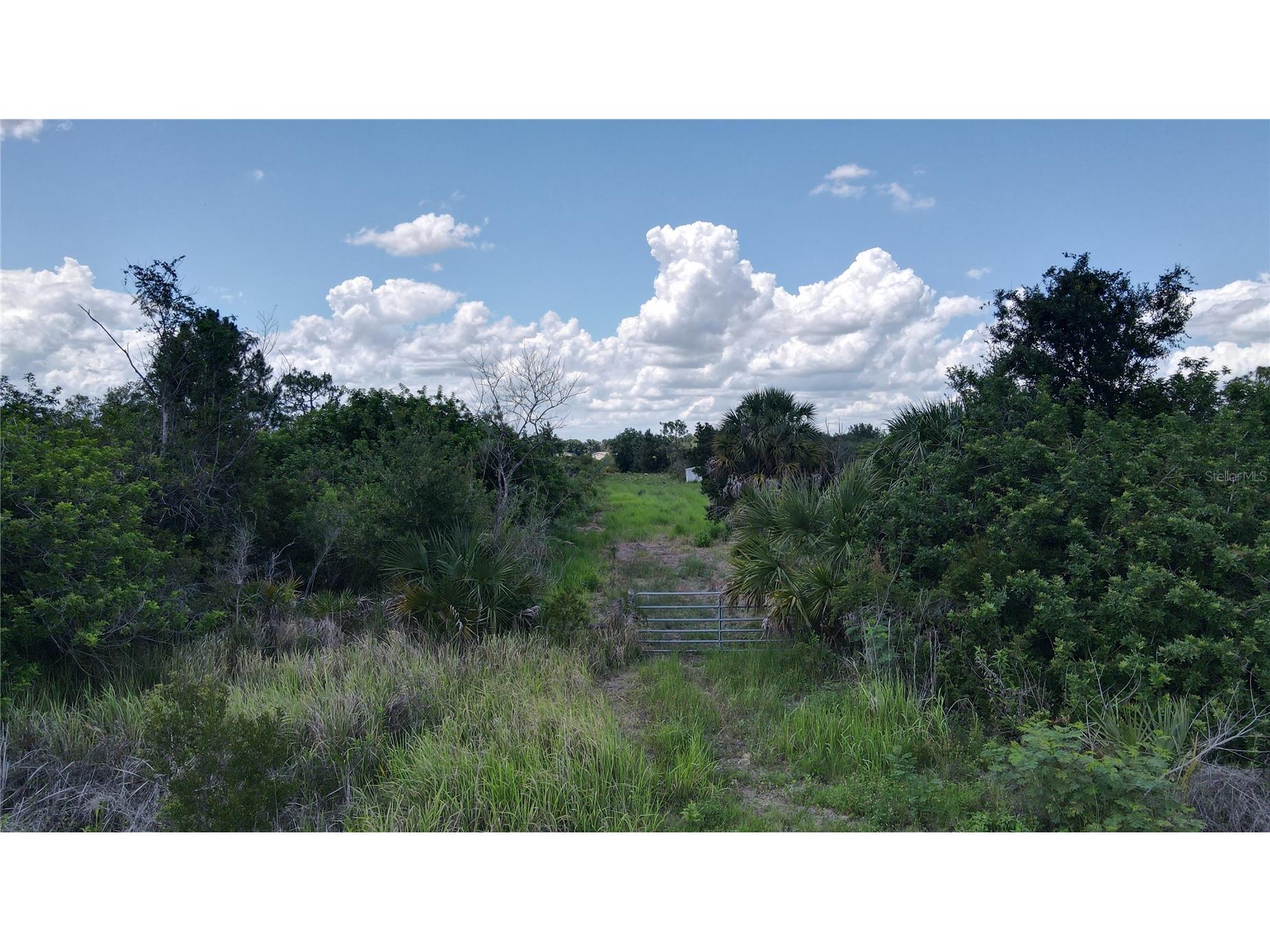 29455 Pine Villa Circle Punta Gorda FL 33982 C7525417 image13