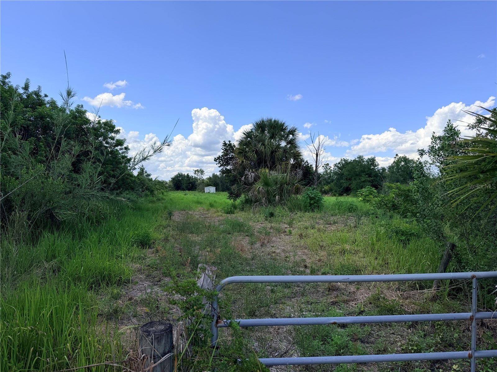 29455 Pine Villa Circle Punta Gorda FL 33982 C7525417 image15