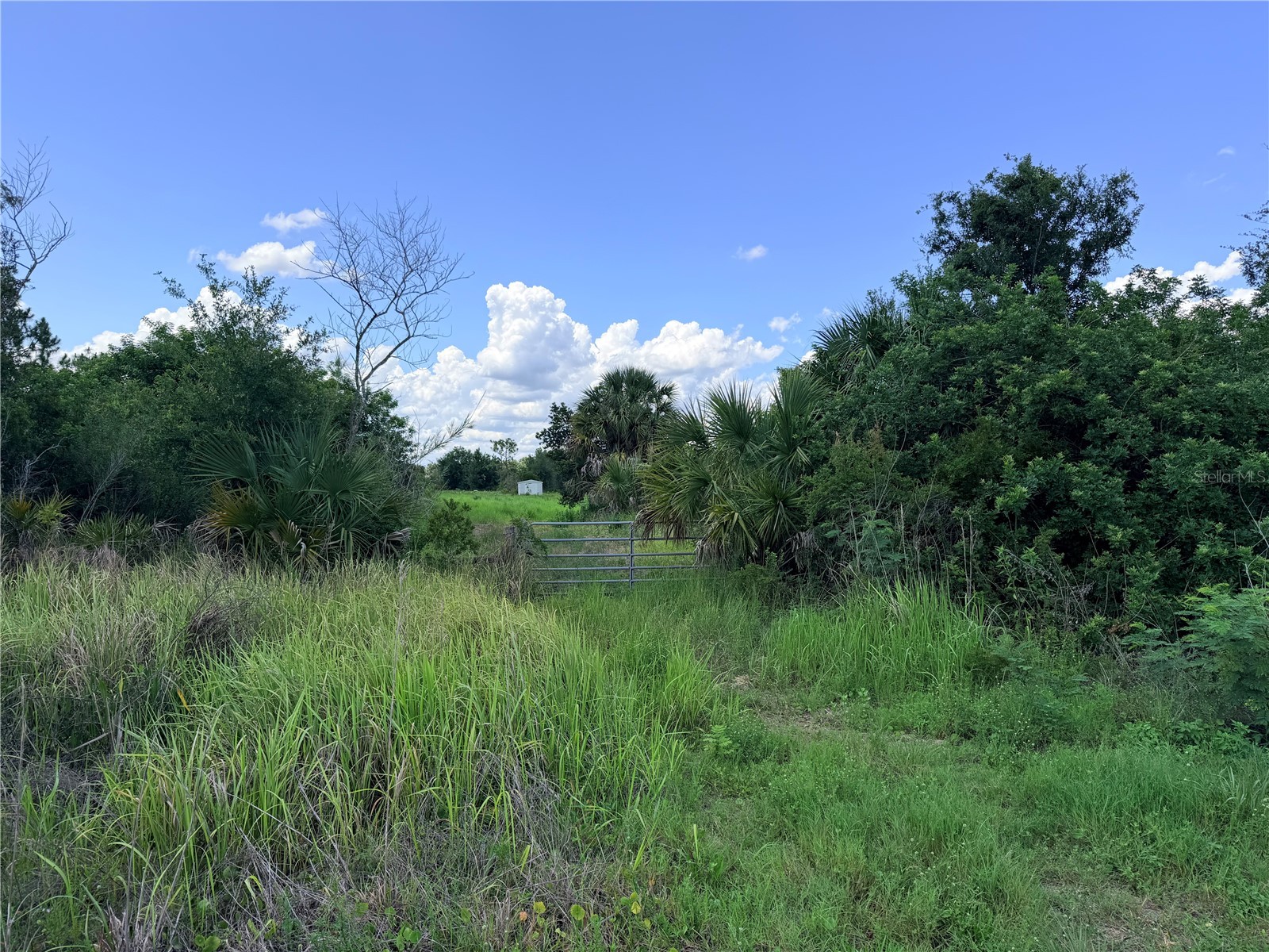 29455 Pine Villa Circle Punta Gorda FL 33982 C7525417 image16
