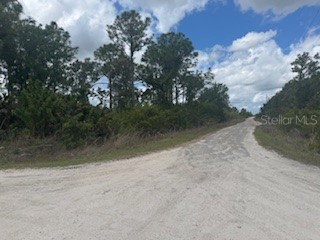 29459 Clara Drive Punta Gorda FL 33982 C7525784 image1