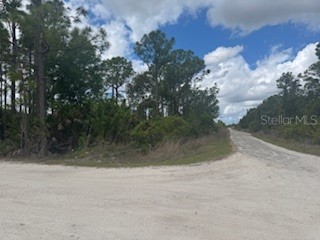 29459 Clara Drive Punta Gorda FL 33982 C7525784 image2